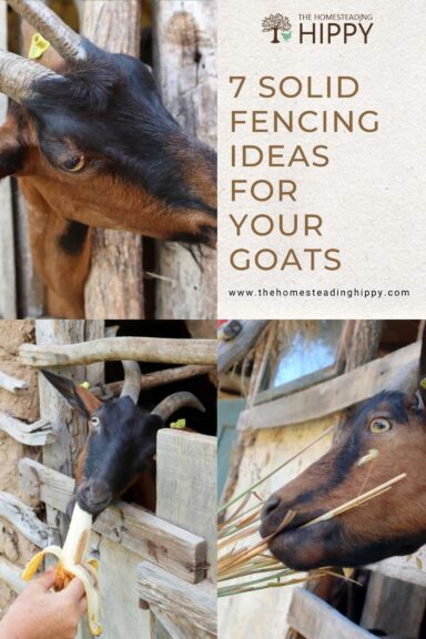 goat fencing designs pin
