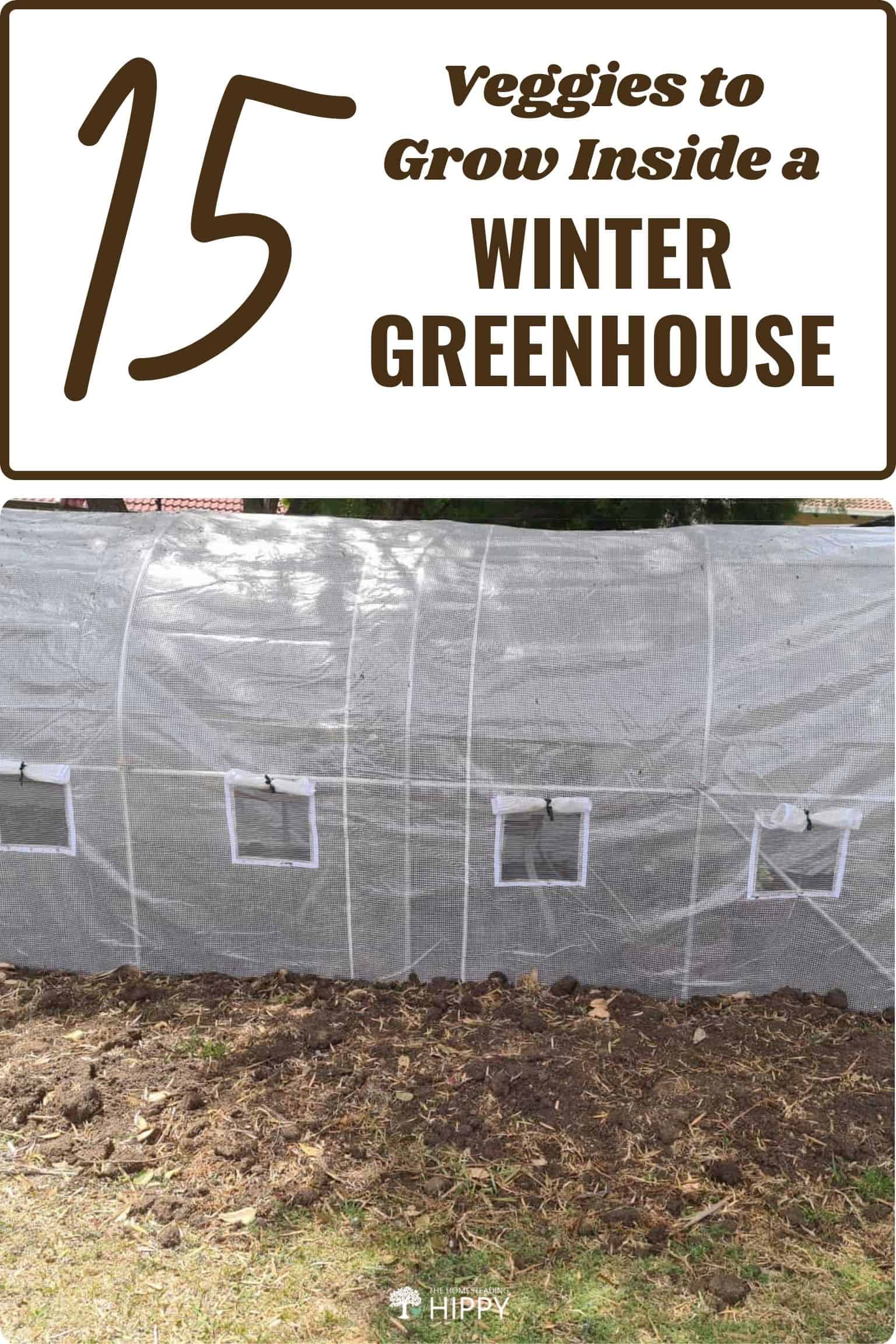 List of vegetables visual data 7