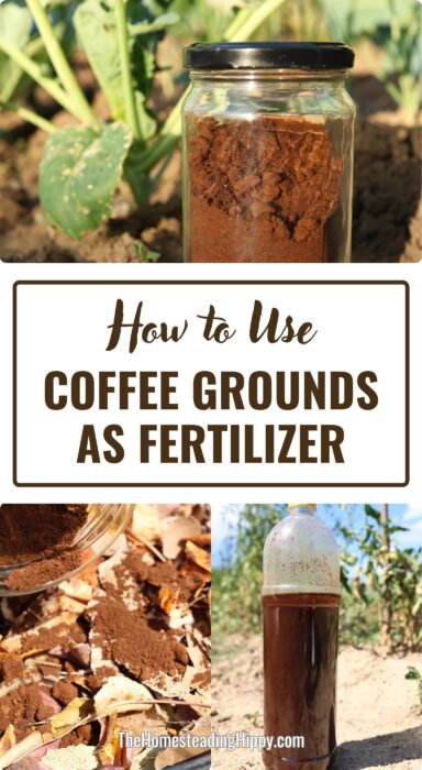 coffee grounds in the garden pin