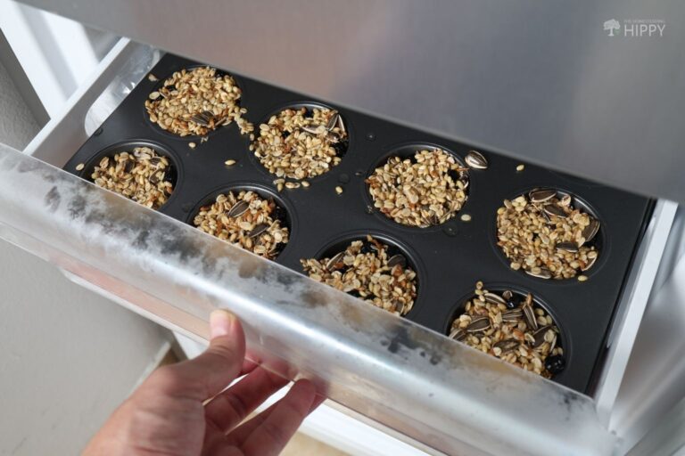 suet cakes in mold inside freezer