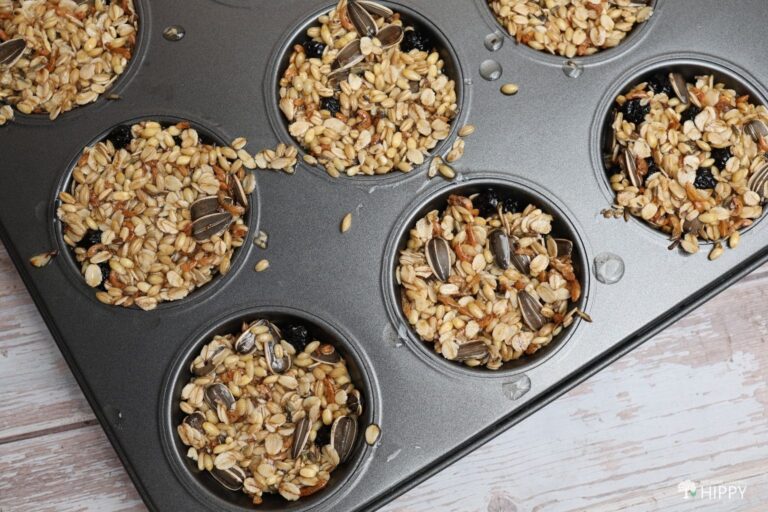 suet mixture in mold