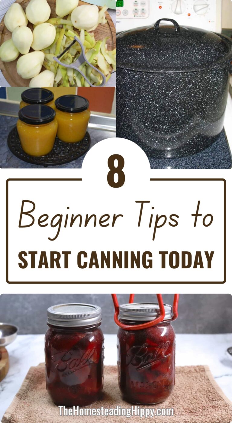 My 8 Tips For Beginners to Start Canning Today