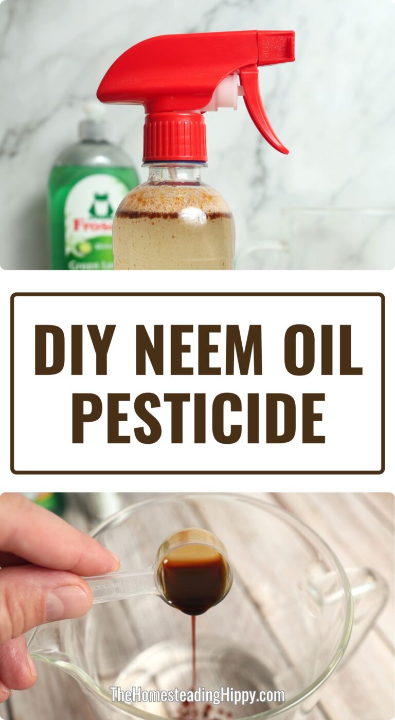 neem oil pesticide pin