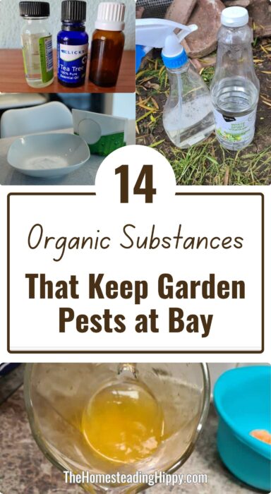 organic garden substances pin organic garden substances pin