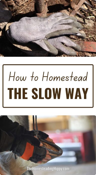 homesteading slowly pin
