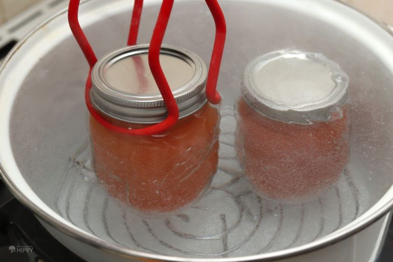 loading tomato juice jars into canner