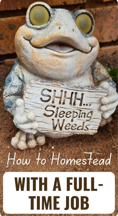 side-gig homesteading pin