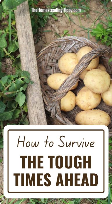 surviving tough times pin