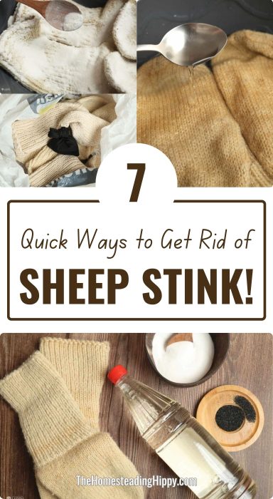 sheep stink pin