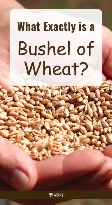 bushel of wheat pin