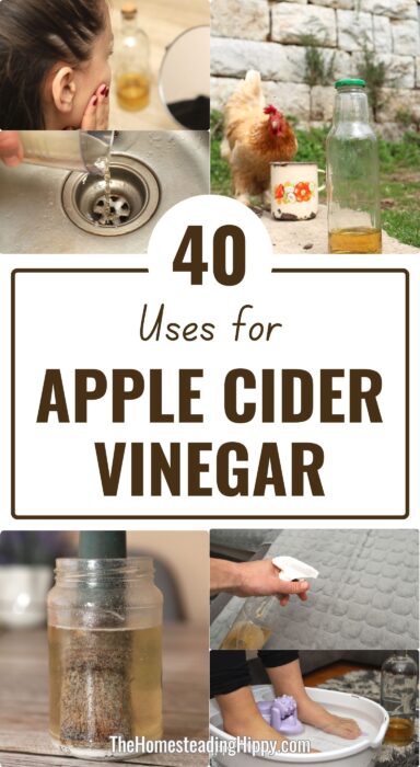 ACV uses pin