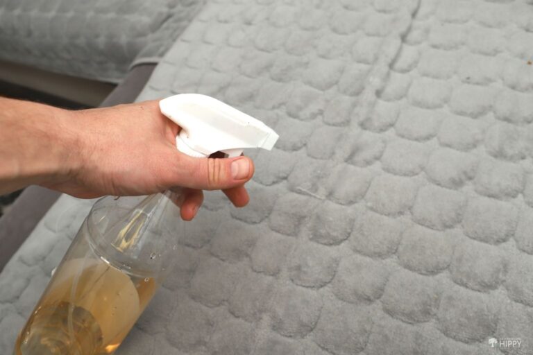 deodorizing sofa with ACV solution