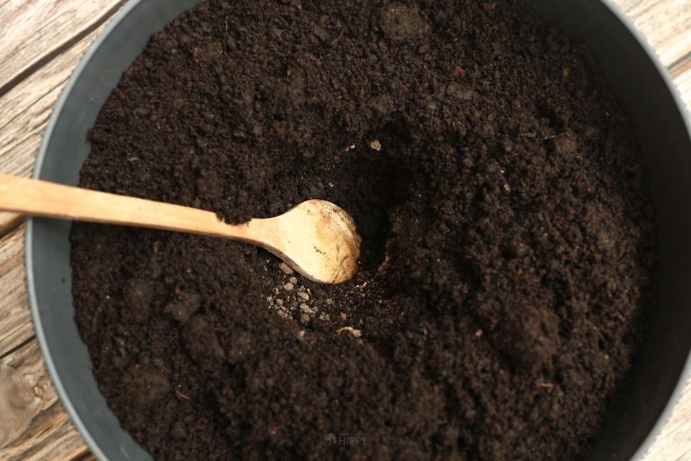 digging hole in soil inside pot