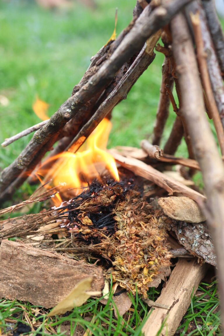 herbs bale burning as tinder