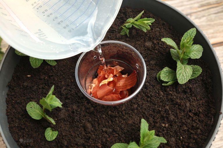 mini compost bin inside pot