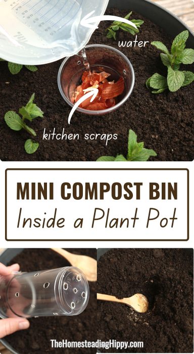mini compost bin pin