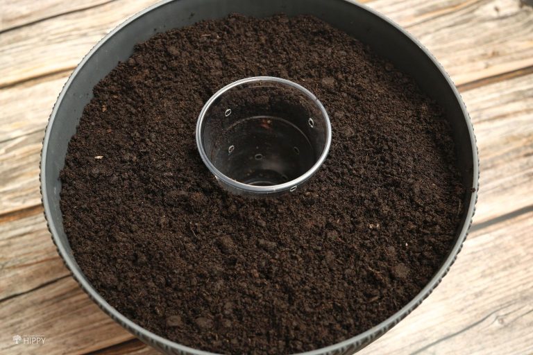 plastic cup inside plant pot