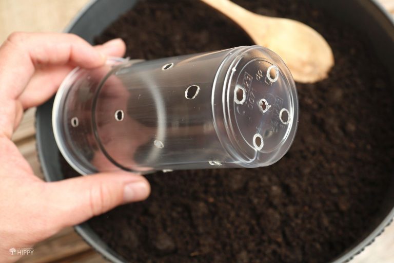 plastic cup with drilled holes