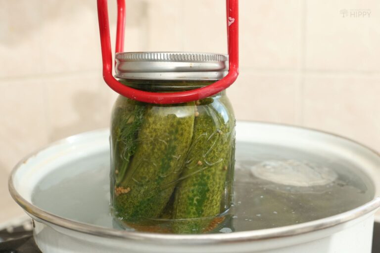 adding canning jar to water bath