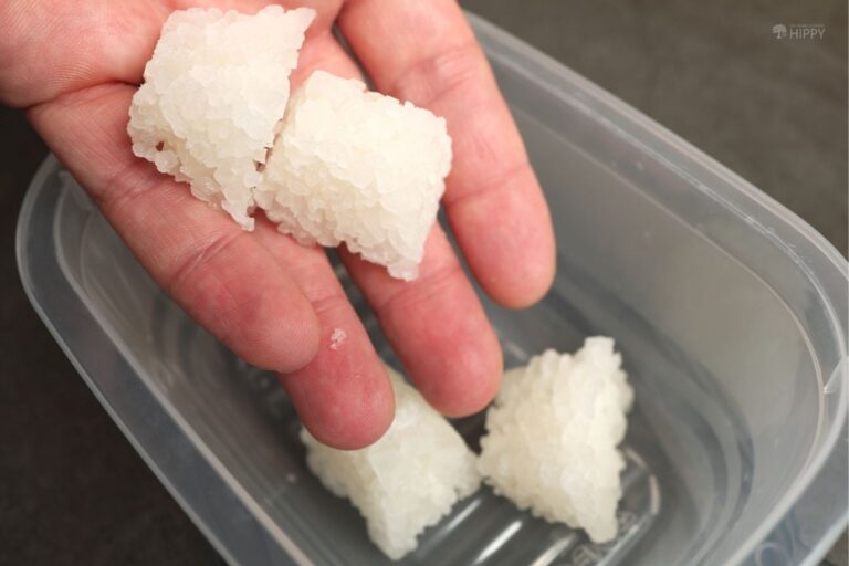 adding frozen grains to tupperware box