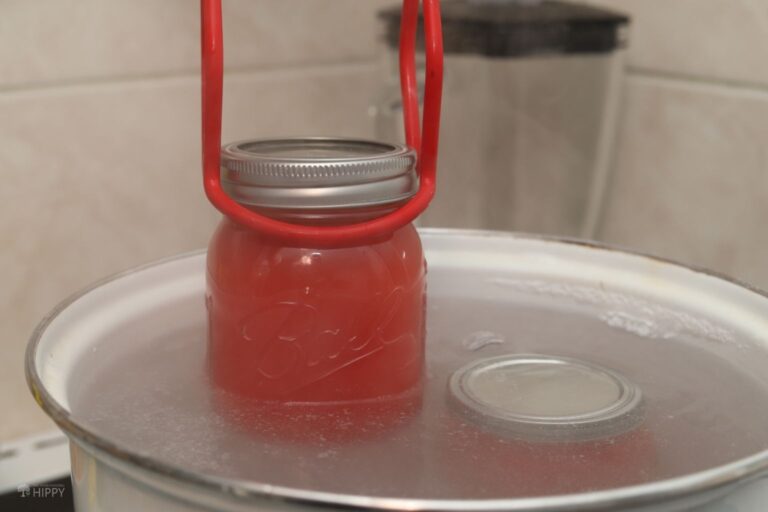 adding jar of watermelon juice to water bath