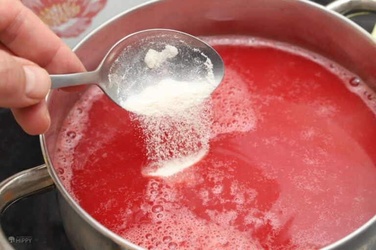 adding pectin to watermelon juice