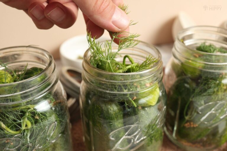adding spices to jars full of cucumbers