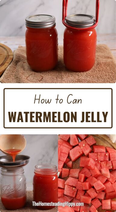 canning watermelon jelly pin