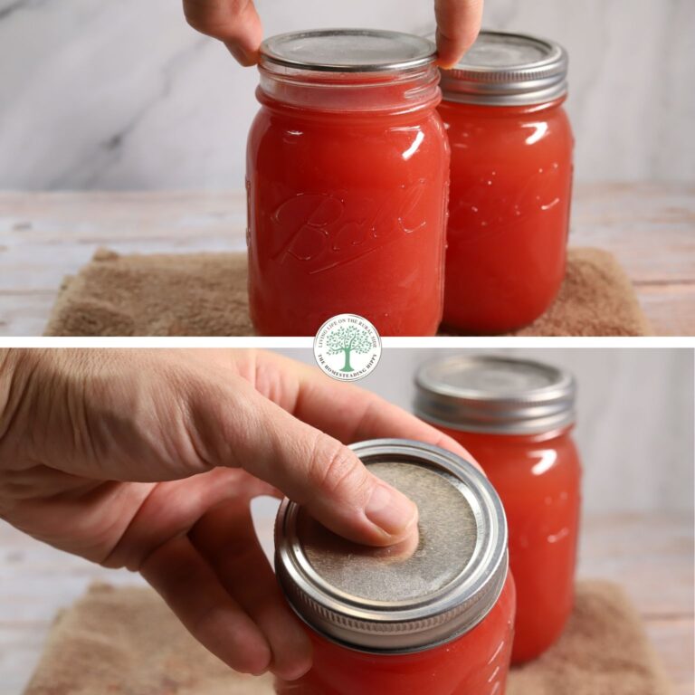 checking jars for good seal collage