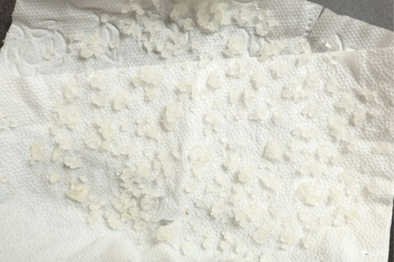 drying kefir grains on paper towel