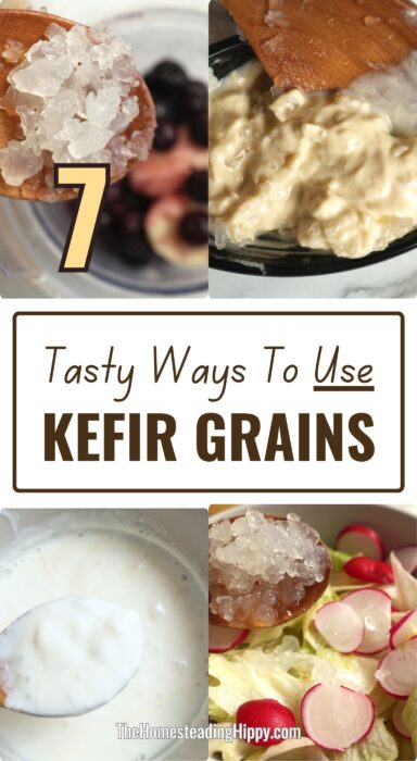 kefir grain uses pin