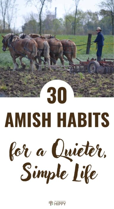 Amish habits pin