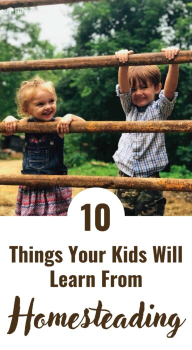 kids homesteading lessons pin