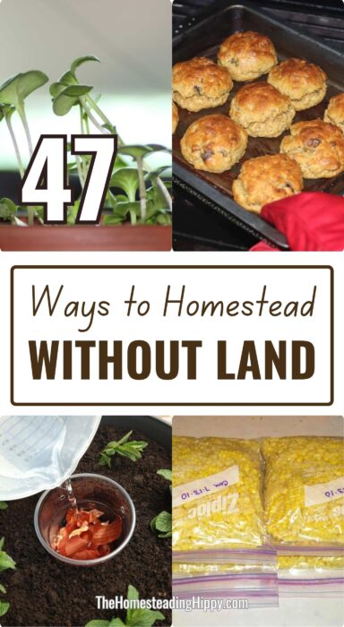 homesteading without land pin