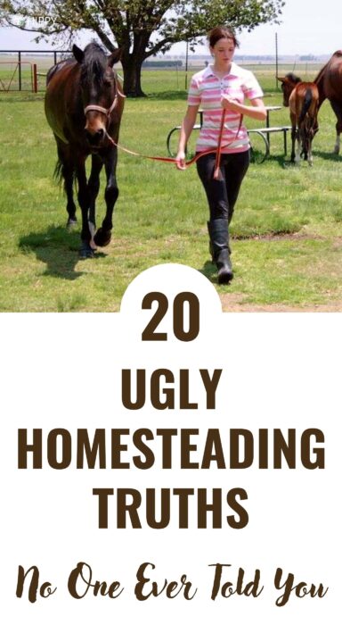 ugly homesteading truths pin