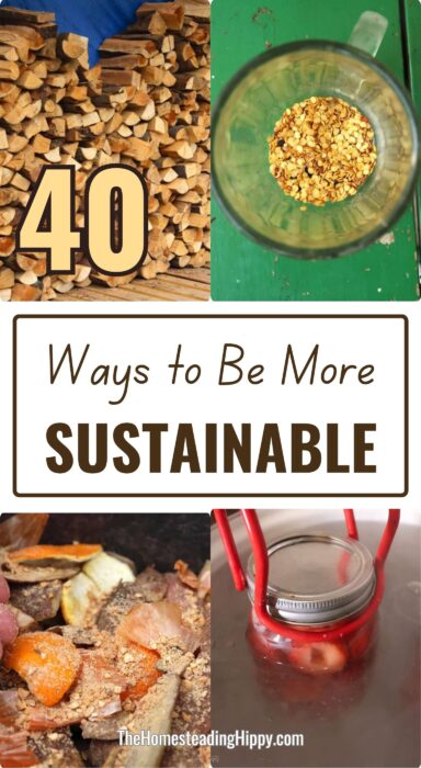 ways to be sustainable pin