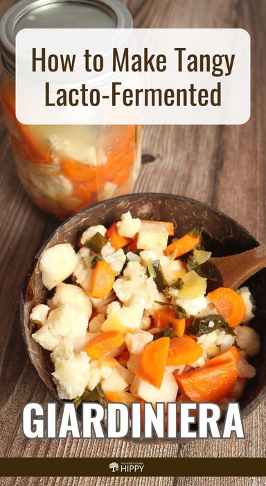 giardiniera pin image
