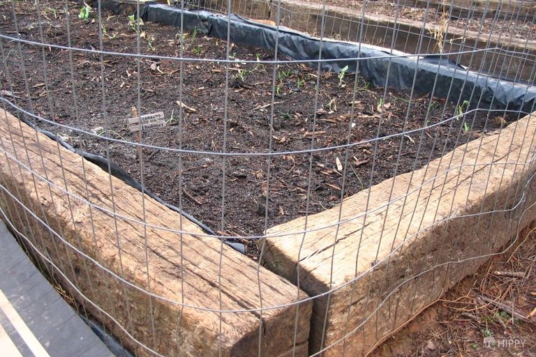 wire fencing surrounding raised bed